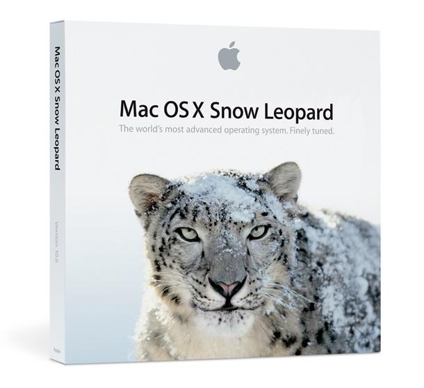 snow-leopard-box.jpg