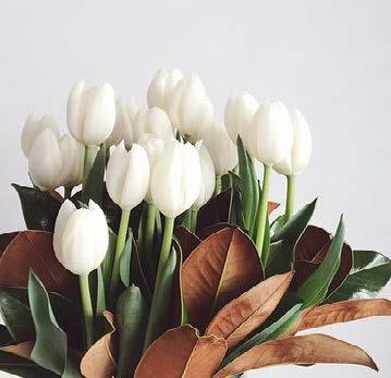 Beautiful white flowers rising out of a bouqet with green and brown leaves